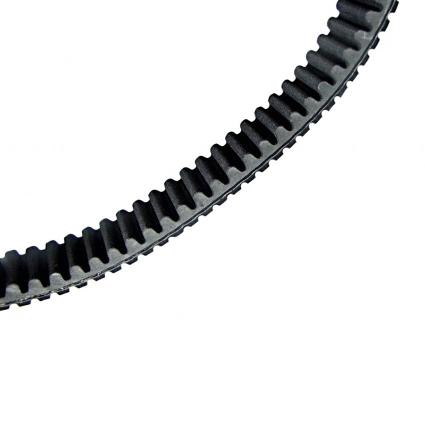 Argo 11258G CTV Drive Belt
