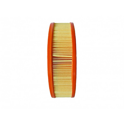 Argo 692519 Air Filter Cartridge