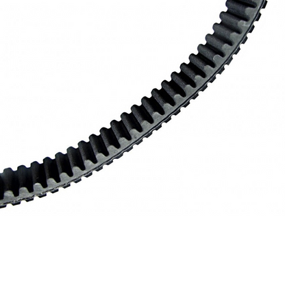 Argo 10348G Drive Belt