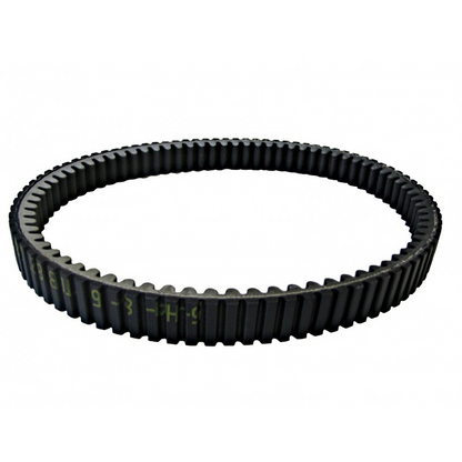 Argo 11258G CTV Drive Belt