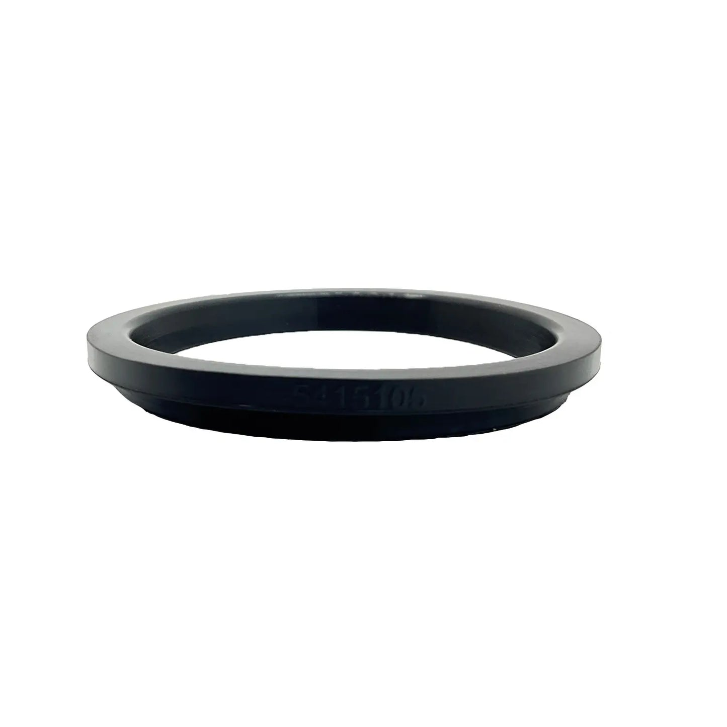 Polaris 2209832 Fuel Filter and Gasket