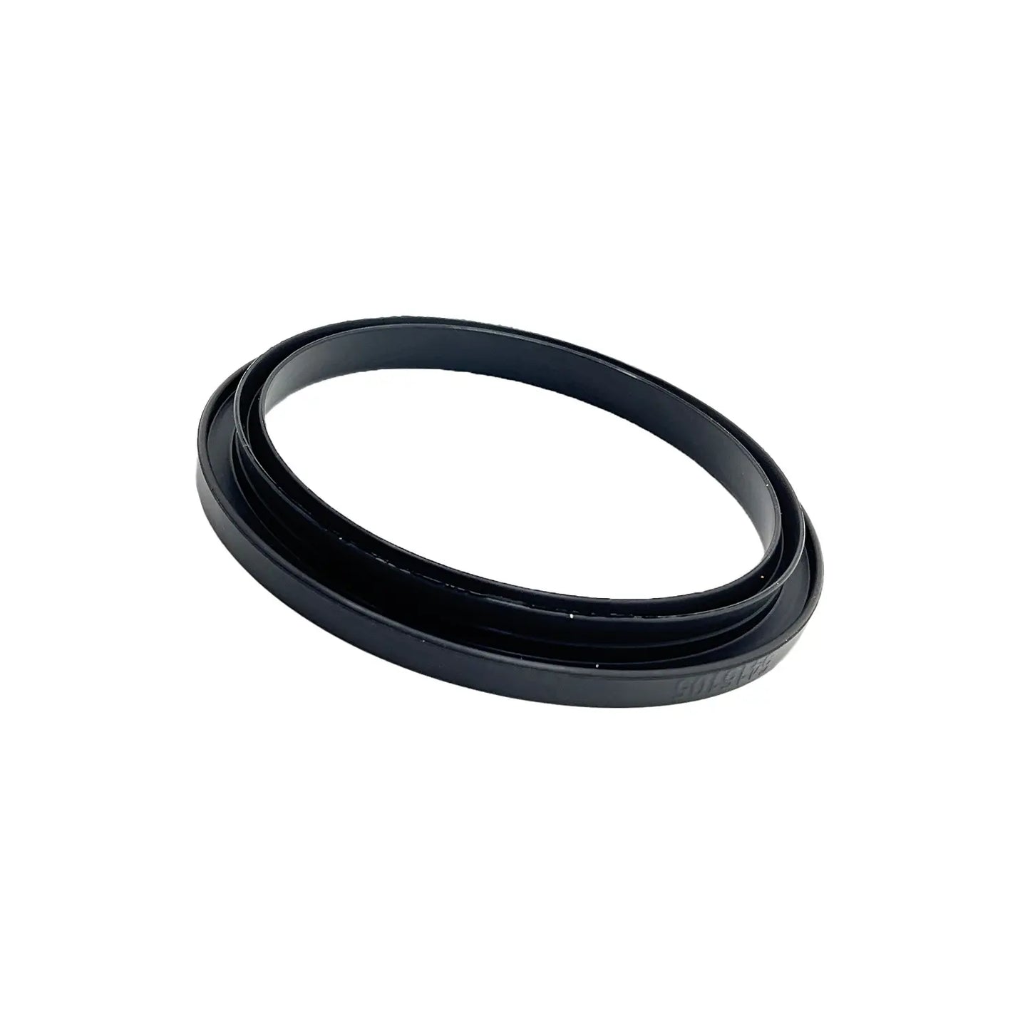 Polaris 2209832 Fuel Filter and Gasket