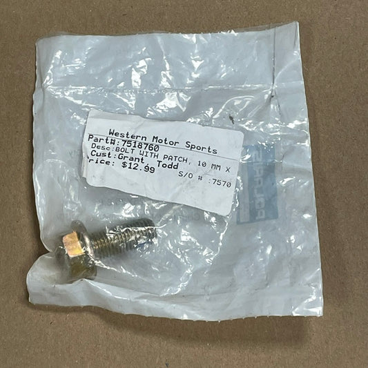 Polaris 7518760 Bolt with Patch